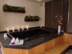 -春晖园度假酒店温泉