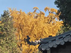 -浮来山风景区