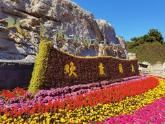 -北京西山国家森林公园