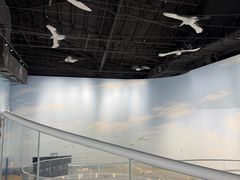 -盐城丹顶鹤湿地生态旅游区