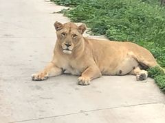 -西安秦岭野生动物园