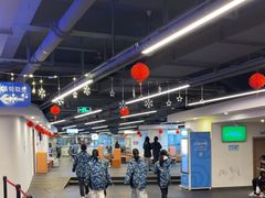 -世界之窗阿尔卑斯冰雪世界