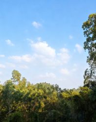 -爱丽馨御景月子中心