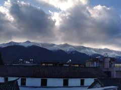 -喵屿·大理花园猫咖