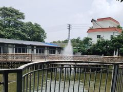 -陶缘一号·四季缘·老字号顺德菜·户外婚礼家宴(西滘店)