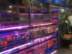 -宝鸡东道花鸟鱼虫市场(吉利花园商场店)