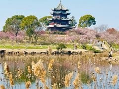 -上海海湾国家森林公园