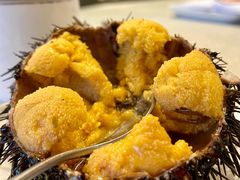 海胆-渔公码头·九龙湾国际饭店