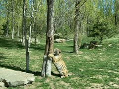 -北京野生动物园