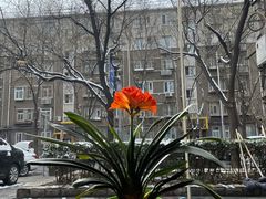 -晋B2008刀削面(小南庄店)