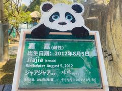 -上海野生动物园