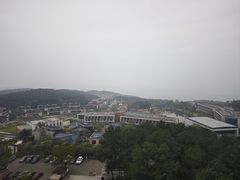 -铁山坪森林公园