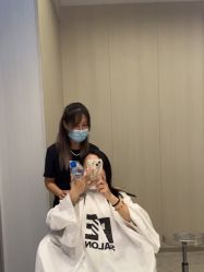 点击看大图 -PE SALON