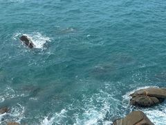 -广东惠东海龟国家级自然保护区