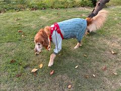 -东钱湖旅游度假区