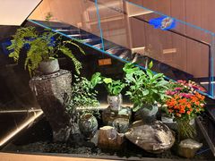 -连鹭海鲜·海肠捞饭·海胆饭(星海店)