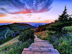 -白草畔自然风景区