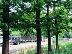 -白水寺森林公园