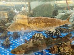 -顺德人家食府(黄金广场店)