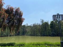 -顺峰山公园