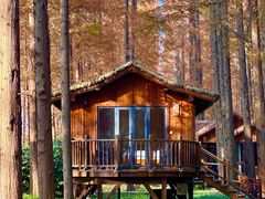 -黄海国家森林公园