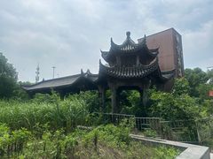 -证大喜玛拉雅中心