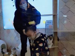 -猫冇咖·家门口的撸猫馆(大融城店)