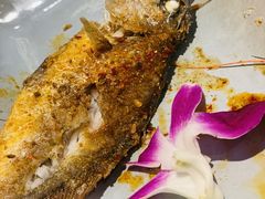 芽庄烤小黄鱼黄鱼-米纸越南小馆(金鹰世界店)