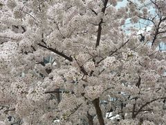 -维多利亚火车站