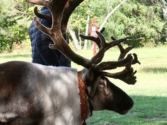 -北极村旅游风景区