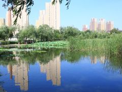 -前关湿地公园