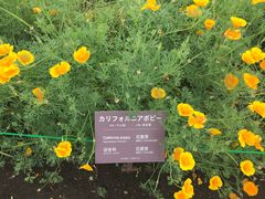 -富田农场