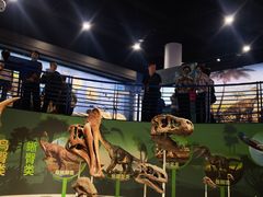 -国家自然博物馆