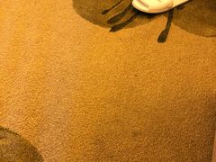 -广州都喜泰丽温泉度假酒店