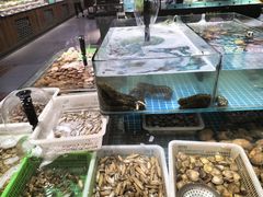 -和源祥·日照菜扛把子(万平口一店)