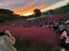 -牛岗山公园