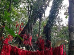 -七仙岭温泉国家森林公园