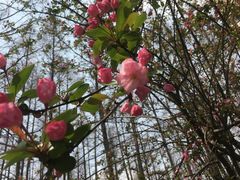 -同济大学-北苑食堂