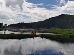 -腾冲北海湿地