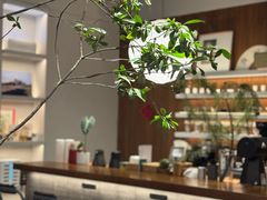 -溯洄咖啡VORTEX COFFEE