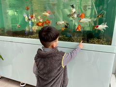 -中国杭州低碳科技馆
