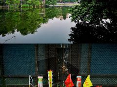 -荔湾湖公园