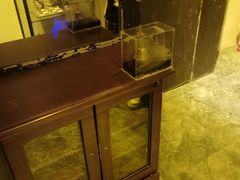 -谜盒子奇幻密室(南屏店)