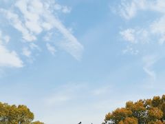-乌镇东栅景区
