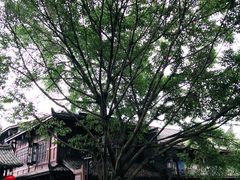 景点-黄龙溪古镇