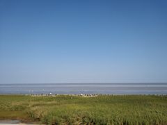 -南汇嘴观海公园