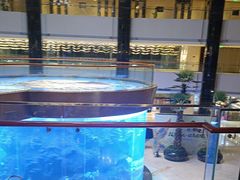 -OPEN開全日自助餐厅·牛肉火锅·海鲜(佛山希尔顿酒店)