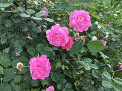 -艾溪湖湿地公园