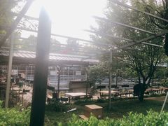 -北京上庄水库尚野露天户外自助烧烤