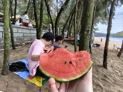 -马銮湾景区